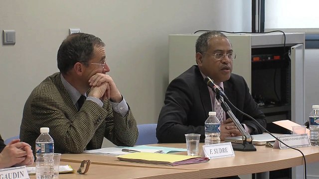 IRDEIC_Avis 2-13 de la Cour de justice de l'UE-6-Joël Andriantsimbazovina, professeur des universités, IRDEIC