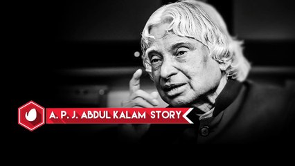 After Effects Project Files - Lower Third - VideoHive 10280525