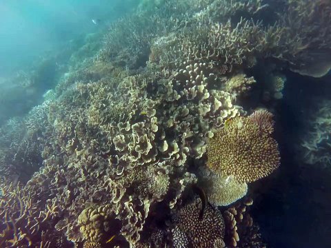 Les Cabanons à Mayotte