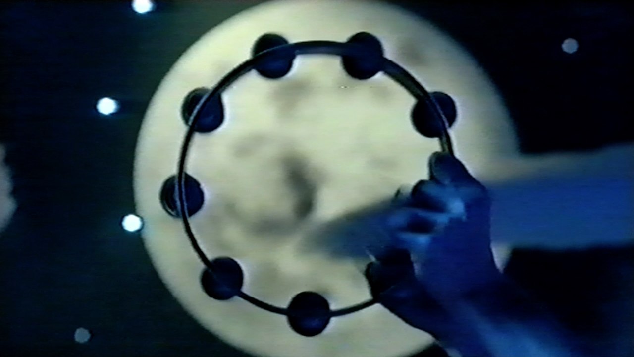 Django Django - Shake and Tremble (Official Video)