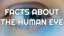 10 Fascinating Facts About The Human Eye