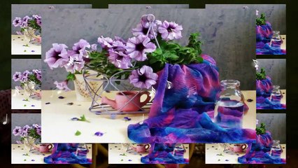 Исках да е нещо красиво,затова откъснах петуния! ... ...