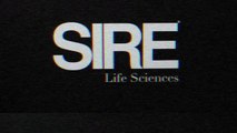 SIRE Life Sciences -- Excellence in European Life Science Recruitment & Executive Search