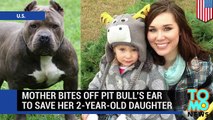 Woman bites off pit bull's ear to save 2-year-old daughter from dog attack
