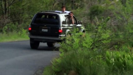 Two tiny bears playing