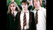 Remembering Harry Potter...14 Years Later...