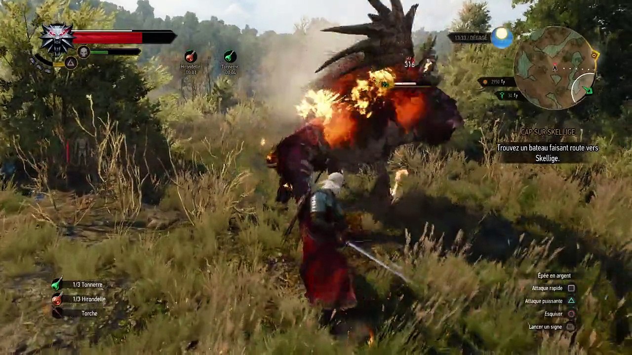 The Witcher 3: Fiellon