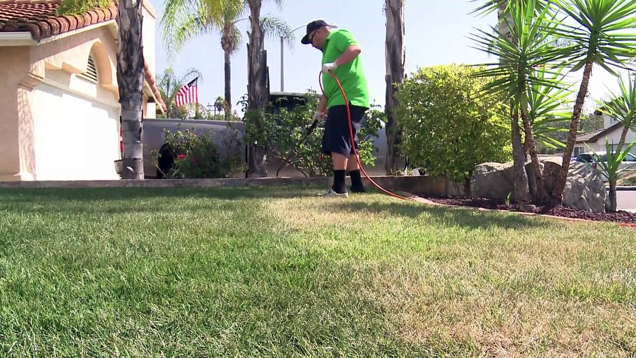 Sprühfarbe statt Rasensprenger in Kalifornien