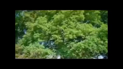 Idir - A Vava Inouva 2015 (traduit en  arabe et en français - مترجمة )