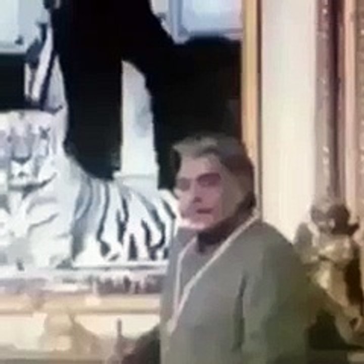 funny videos ........;-)