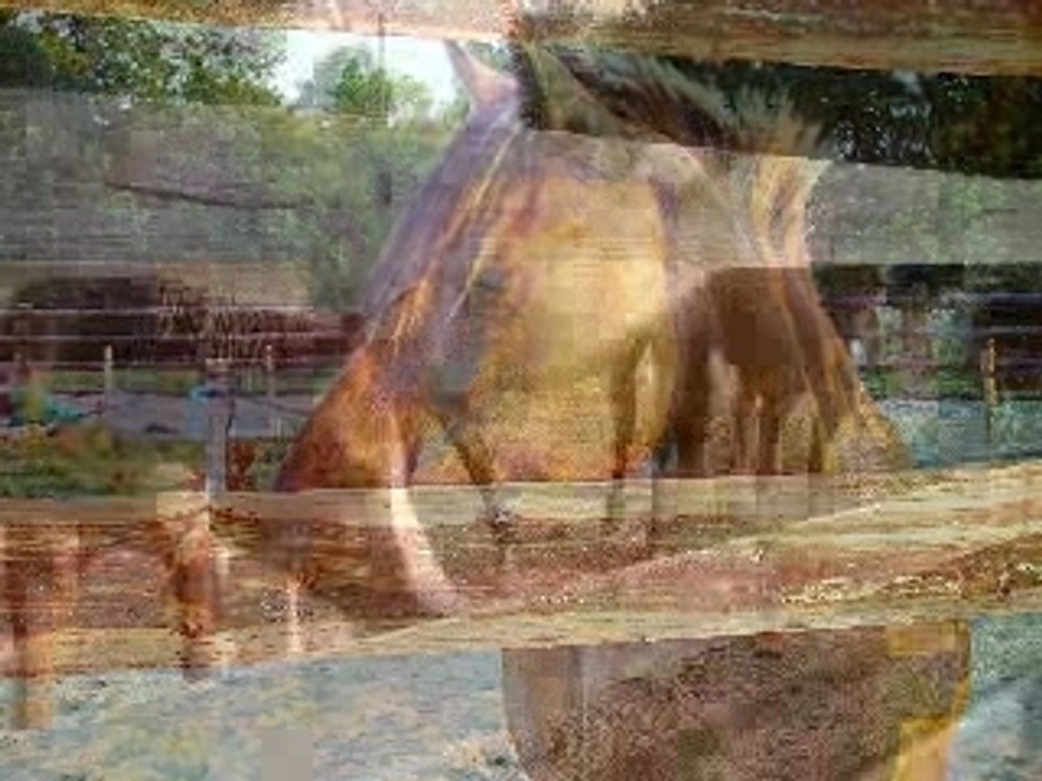 Video photo preferés