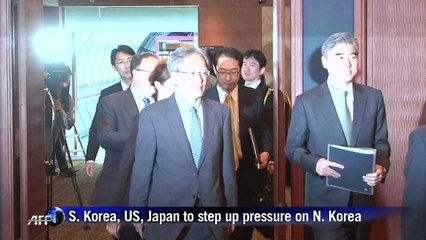 S. Korea, US, Japan envoys discuss N. Korea nuclear concerns