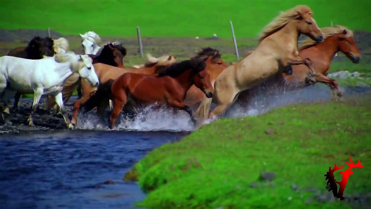 Sacral Nirvana & Relaxing Song