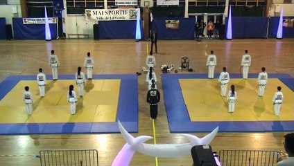 TAEKWON-KIDO Team Démonstration