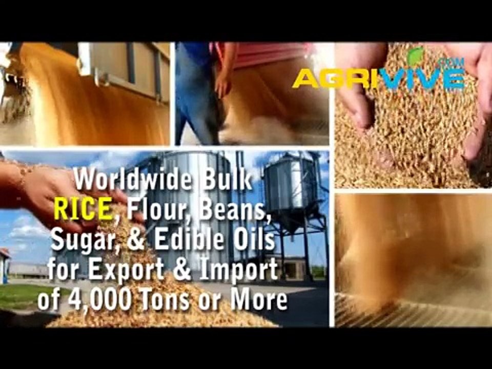 Bulk Rice, Bulk Rice, Bulk Rice, Bulk Rice, Bulk Rice, Bulk Rice, Bulk Rice, Bulk Rice, Bulk Rice, Bulk Rice