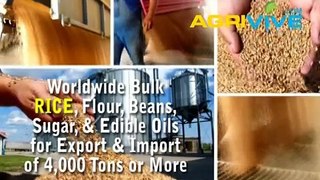 Rice Export, Rice Export, Rice Export, Rice Export, Rice Export, Rice Export, Rice Export