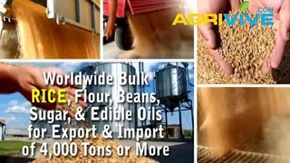 Buy USA Bulk Wholesale Rice Export, Rice Export, Rice Export, Rice Export, Rice Export, Rice Export, Rice Export