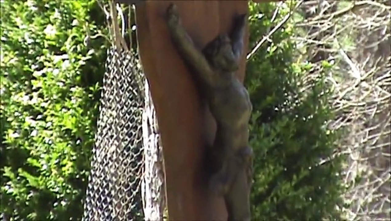 Pays de Bitche :Un tour en Vtt de Soucht a Bitche