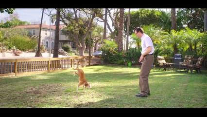 Avez vous déjà vu un chien garer une Audi?