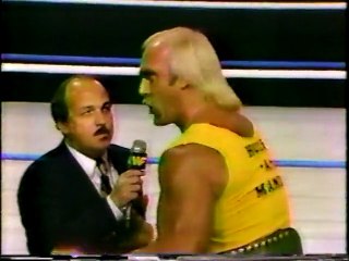 1-28-84 Hogan Interview about Orndorff