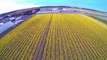 Tulip fields Holland - Keukenhof - Lisse (DJI Phantom 2 drone,  GoPro, Netherlands);  Tulpenvelden
