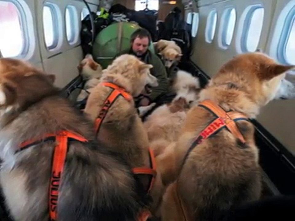 Danmark's Daring Dogsledders
