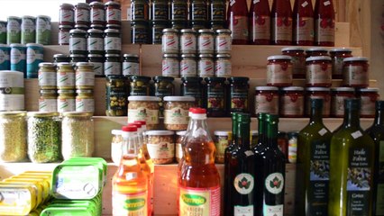 LAFA Un Ballon pour l'insertion (partie II)