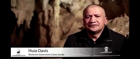 Waitomo Glow Worm Caves Tour New Zealand