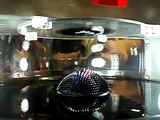 Maker Faire Ferrofluid