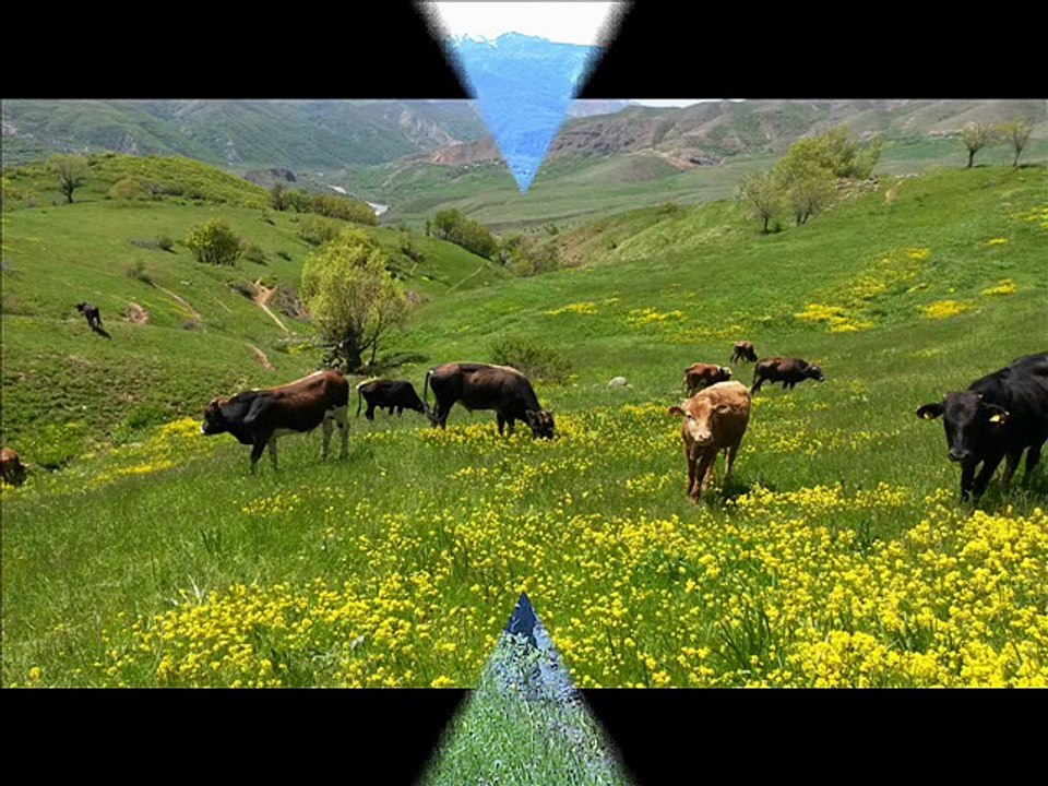 DENGBEJİ AYŞEŞAN ZERİ HAYRAN U.H VİDE KLİP 2015