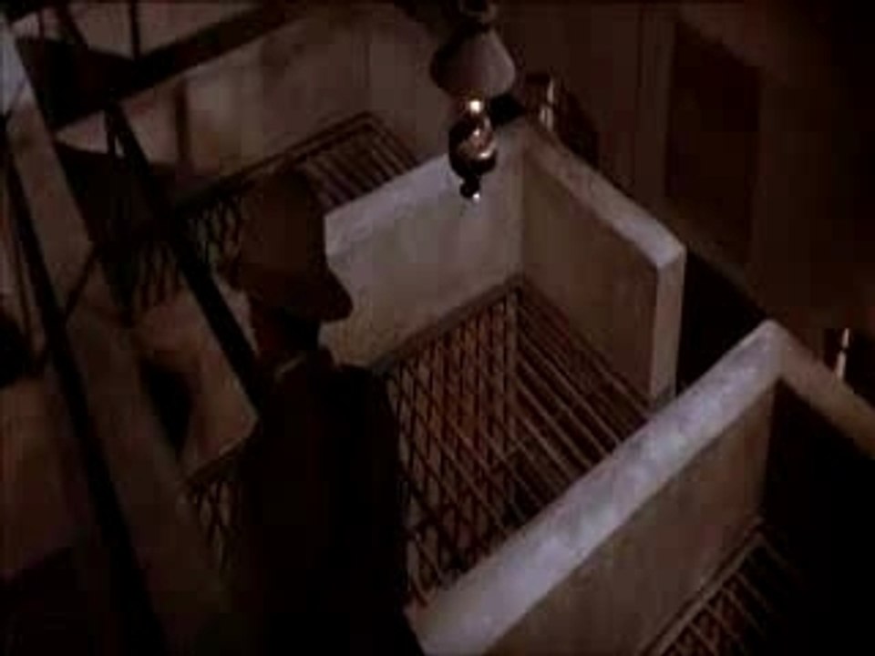 papillon (1973)