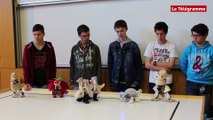 Lorient. Concours régional de robotique