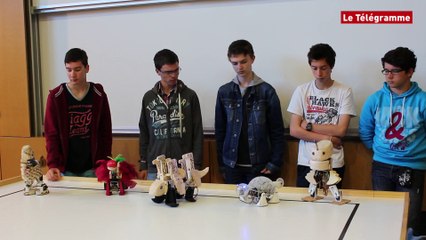 Lorient. Concours régional de robotique