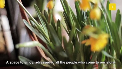 Un Jardin Secreto en Madrid