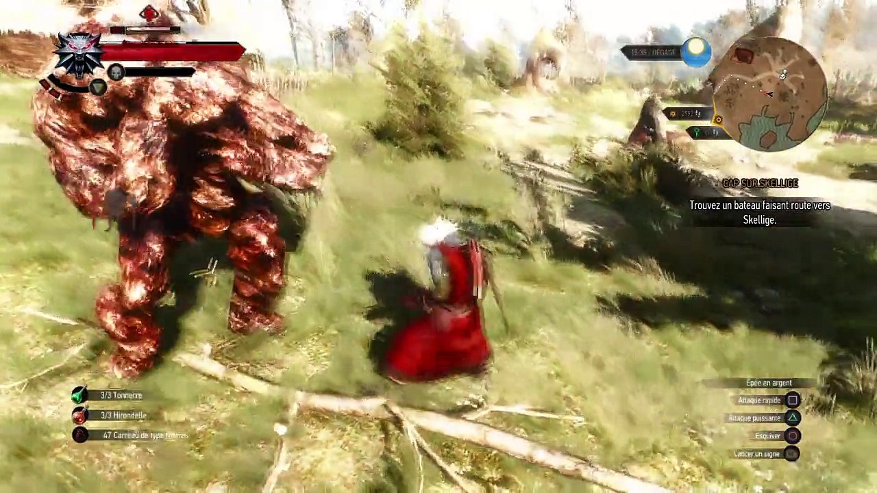 The Witcher 3: Sac à PV