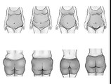 What Body Type and Belly Shape Are You?  How Hormones Distort The Way Look