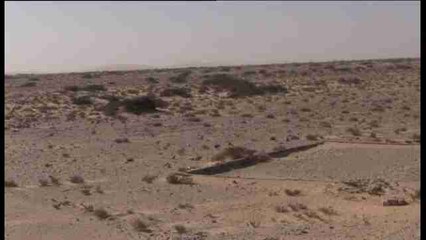 Las gacelas mohor, de vuelta en el Sáhara