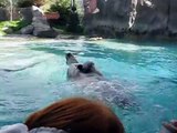 Eisbar Rizzo unterhält Kinder im Hogle Zoo Utah