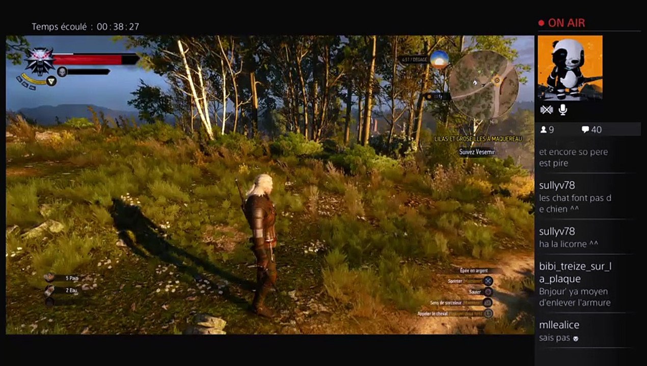2015-05-24 Live The Witcher III part 2