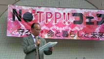 2015-5.26「TPPは中国包囲網なのが都合悪いらしい」お花畑左翼の集会“ フェス&キャンドルデモ「NO TPP !!」  孫崎亨