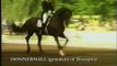 DACAPRIO - Elite Hanoverian Stallion, Pedigree.mp4