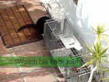 Cat Trapping, help from Fixnation.org TNR (Trap Neuter Release)