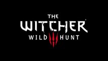 The Witcher 3 Wild Hunt OST  The Fields of Ard Skellig
