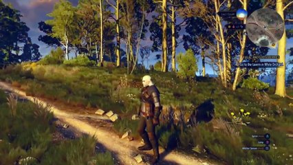 Witcher 3 Gameplay from GDC 2015