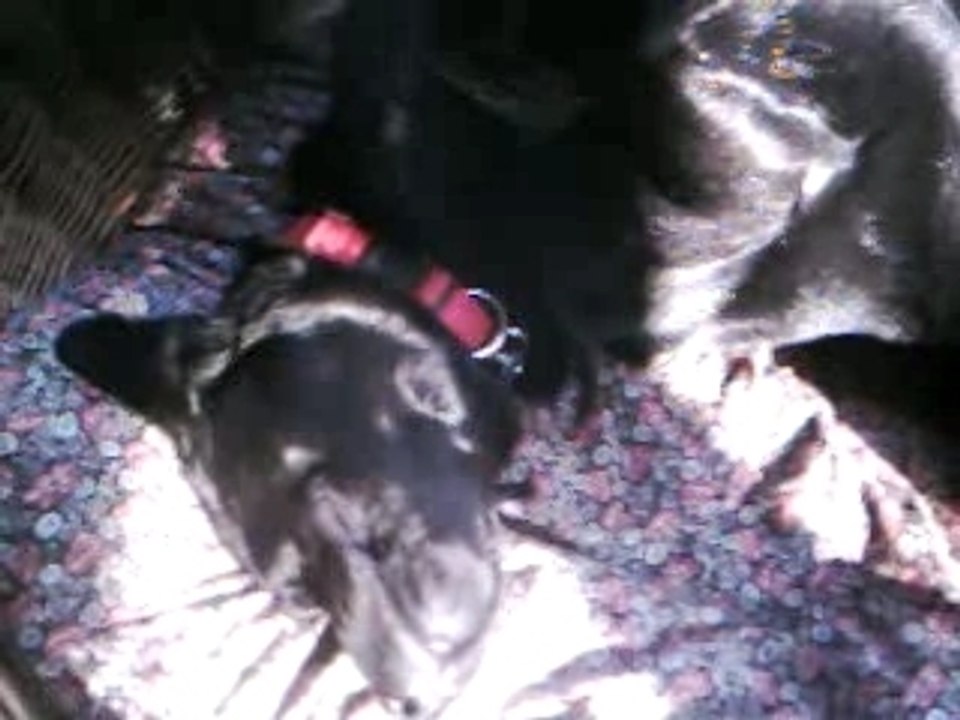 Athos sieste