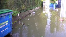 Thames Flooding at Chertsey 08/01/2014