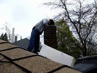 Raccoon Removal from Chimney