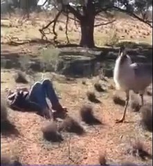 ہاہاہاہاہا یہ کرنا کیا چاہتا ہے یار-