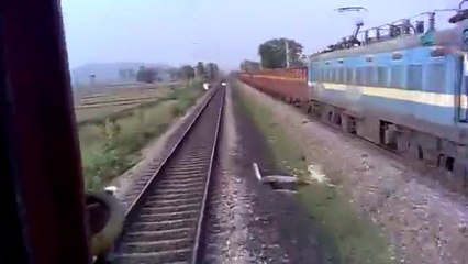 OMG!!! Train hits a Cow (Live Footage)