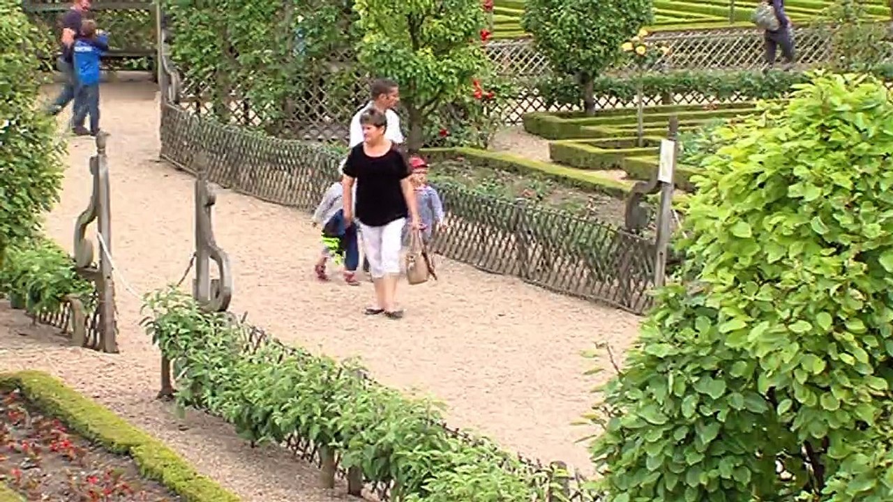 se soigner par les plantes et légumes